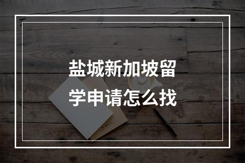 盐城新加坡留学申请怎么找