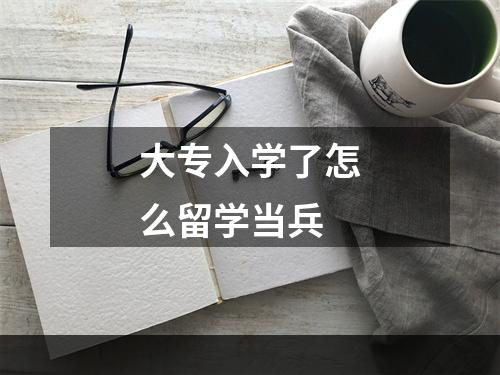 大专入学了怎么留学当兵