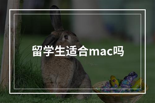 留学生适合mac吗