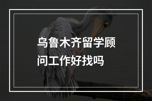 乌鲁木齐留学顾问工作好找吗