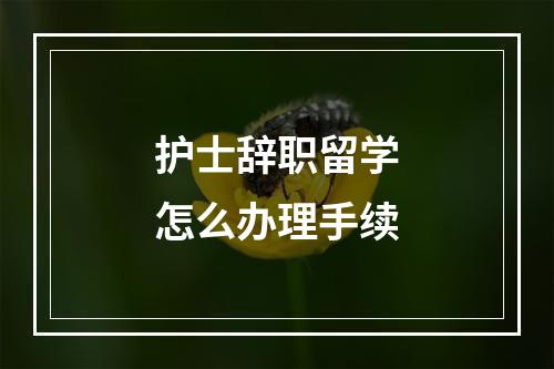 护士辞职留学怎么办理手续