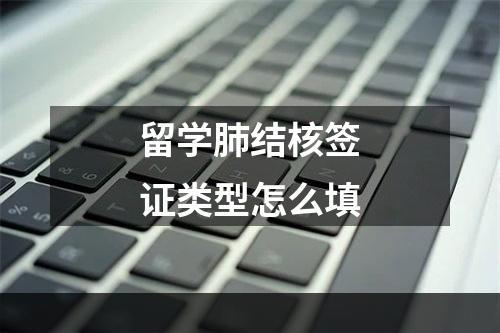 留学肺结核签证类型怎么填