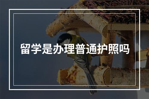 留学是办理普通护照吗