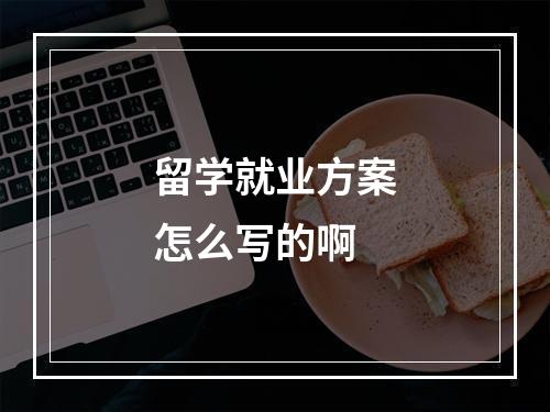 留学就业方案怎么写的啊