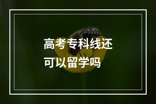 高考专科线还可以留学吗