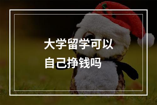 大学留学可以自己挣钱吗