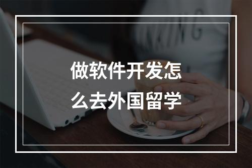 做软件开发怎么去外国留学