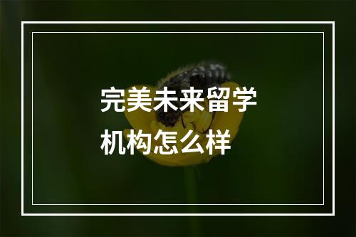 完美未来留学机构怎么样