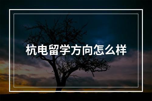 杭电留学方向怎么样