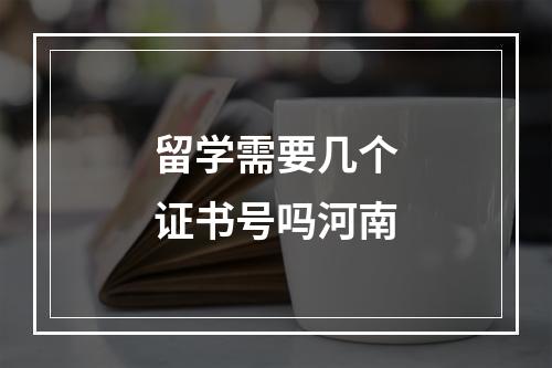 留学需要几个证书号吗河南