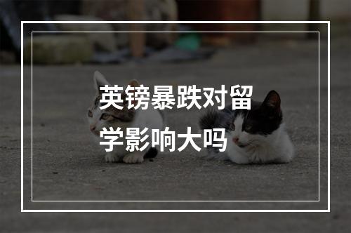 英镑暴跌对留学影响大吗