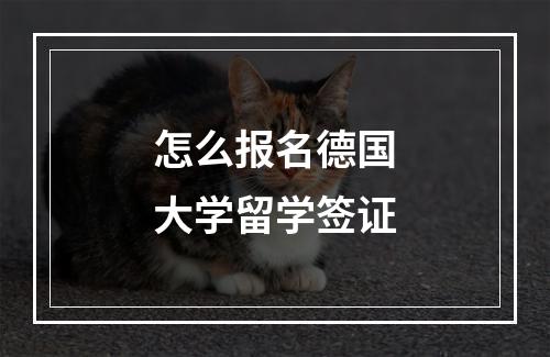 怎么报名德国大学留学签证