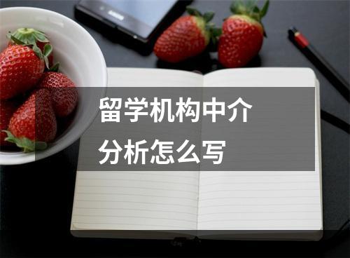 留学机构中介分析怎么写