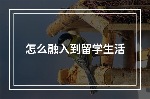 怎么融入到留学生活