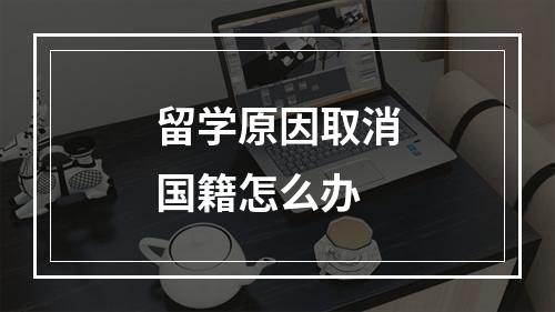 留学原因取消国籍怎么办