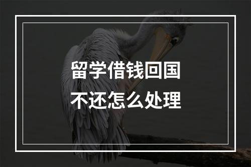 留学借钱回国不还怎么处理