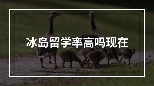 冰岛留学率高吗现在