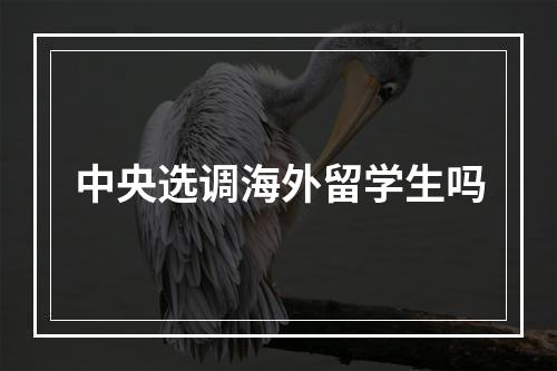 中央选调海外留学生吗