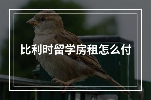 比利时留学房租怎么付