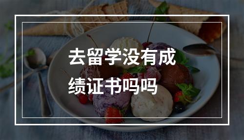 去留学没有成绩证书吗吗