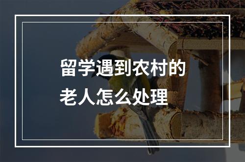 留学遇到农村的老人怎么处理