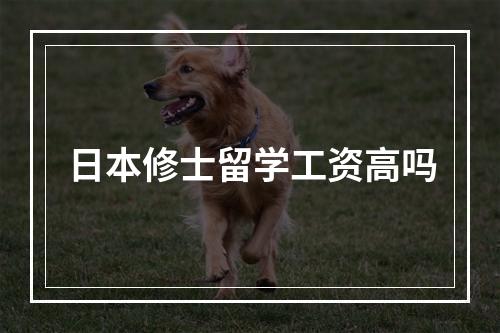 日本修士留学工资高吗