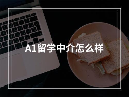 A1留学中介怎么样