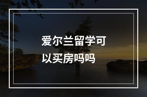 爱尔兰留学可以买房吗吗