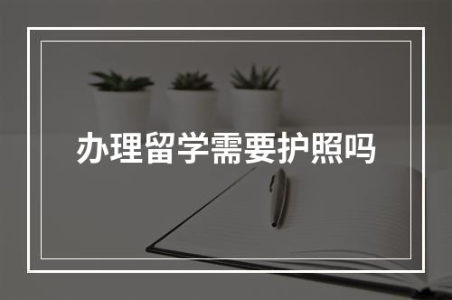 办理留学需要护照吗