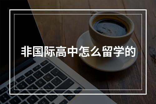 非国际高中怎么留学的