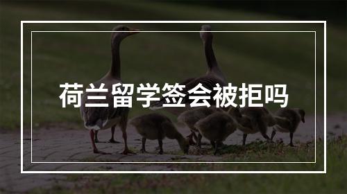 荷兰留学签会被拒吗