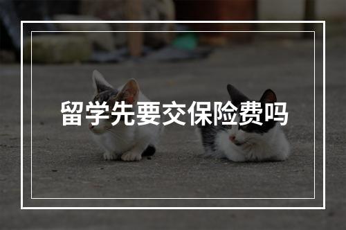 留学先要交保险费吗