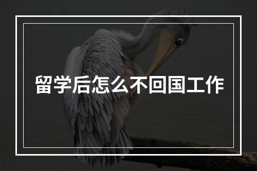 留学后怎么不回国工作