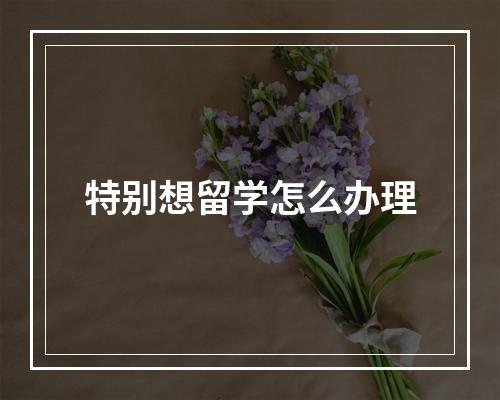 特别想留学怎么办理