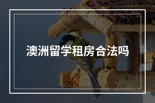 澳洲留学租房合法吗