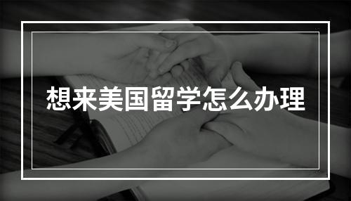 想来美国留学怎么办理