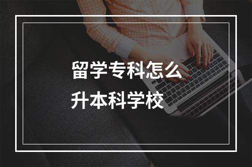 留学专科怎么升本科学校