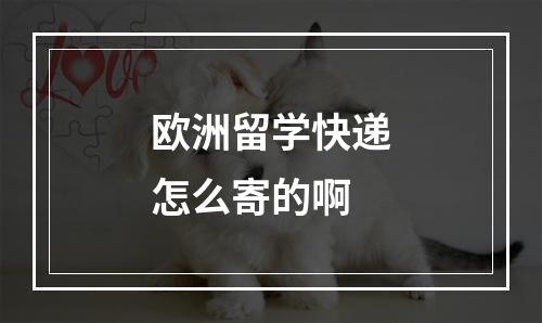 欧洲留学快递怎么寄的啊