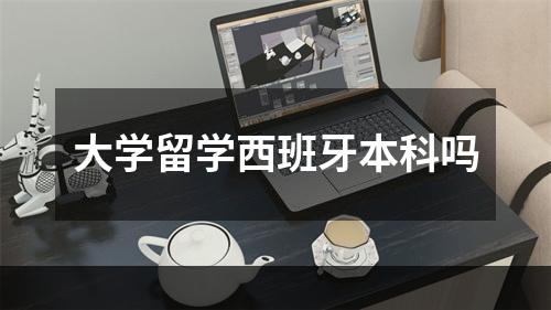 大学留学西班牙本科吗