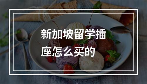 新加坡留学插座怎么买的