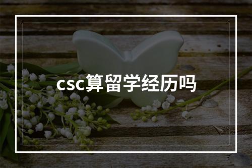 csc算留学经历吗