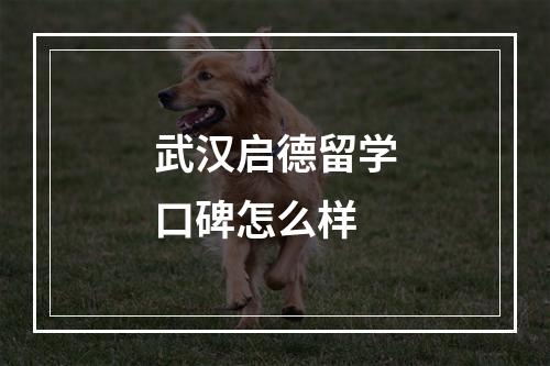 武汉启德留学口碑怎么样