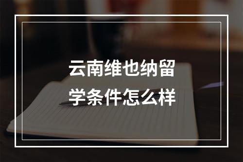 云南维也纳留学条件怎么样