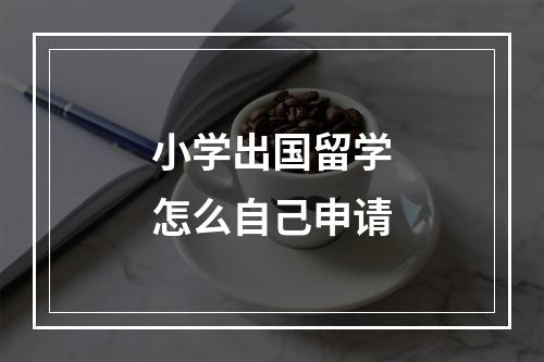 小学出国留学怎么自己申请