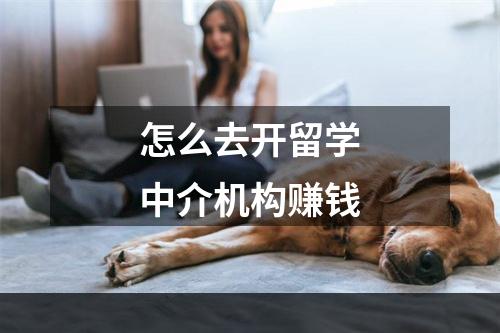 怎么去开留学中介机构赚钱