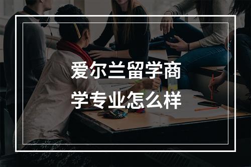 爱尔兰留学商学专业怎么样