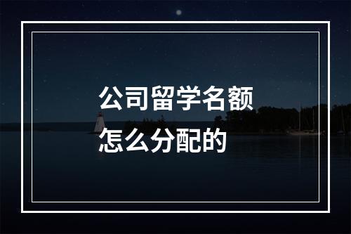 公司留学名额怎么分配的