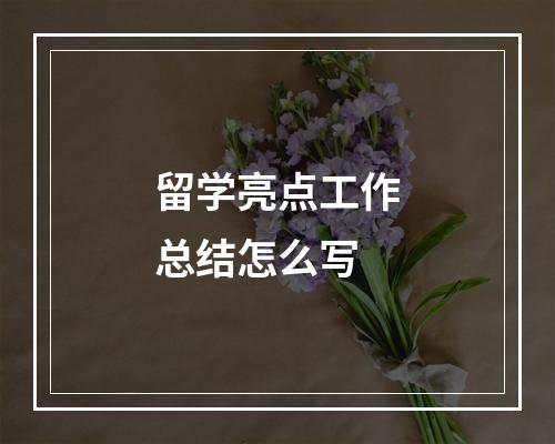 留学亮点工作总结怎么写