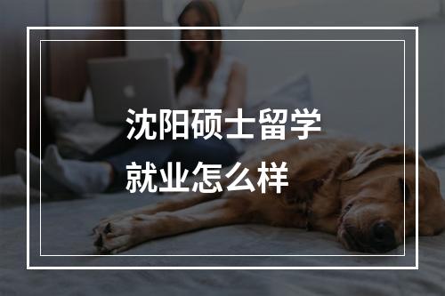 沈阳硕士留学就业怎么样