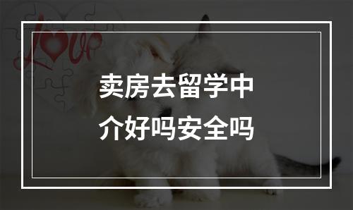 卖房去留学中介好吗安全吗